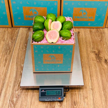 Pink Guava Box No Google Tropical Fruit Box